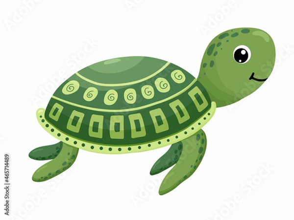 Fototapeta cartoon green turtle isolated on white background. Vector