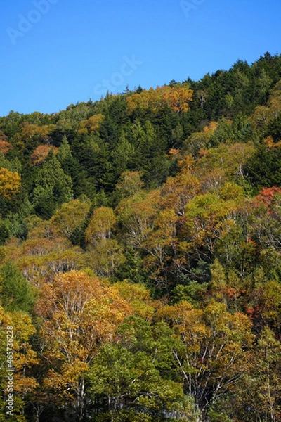 Fototapeta 秋の志賀高原　木戸池
