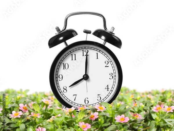 Fototapeta alarm clock is