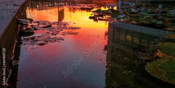 Fototapeta Sunset over the river