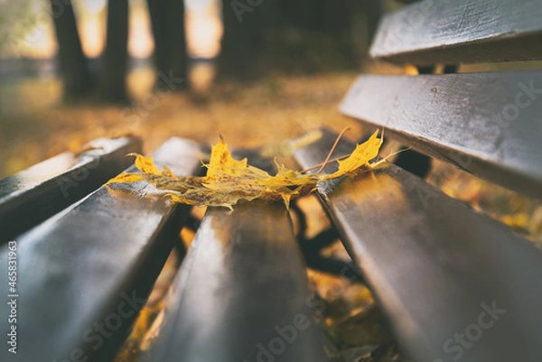 Obraz Autumn background