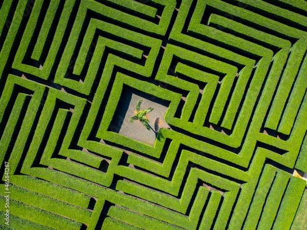 Fototapeta green maze background