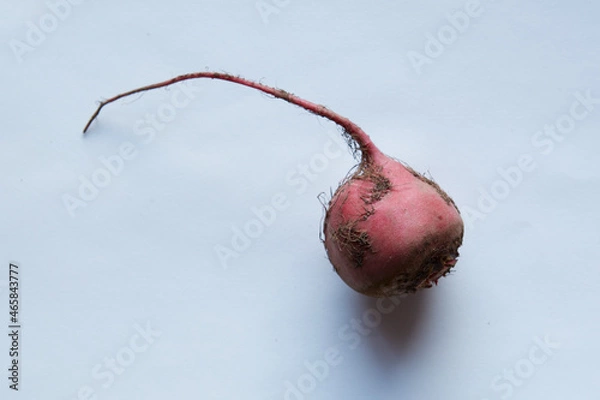 Fototapeta beetroot
