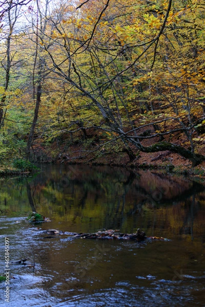 Obraz river in the autumn forest
