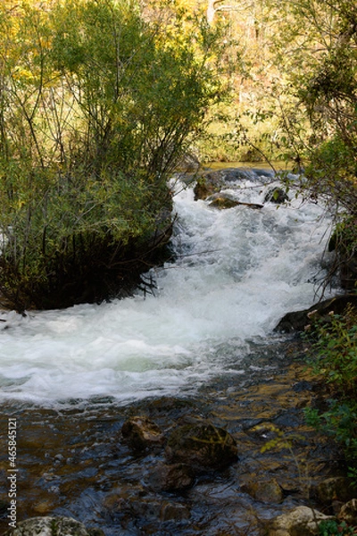 Obraz stream in the forest