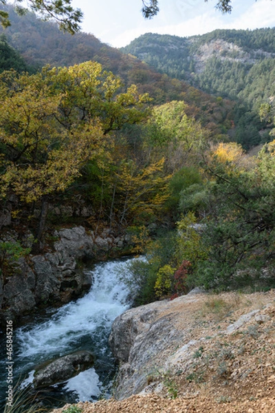 Obraz river in the forest