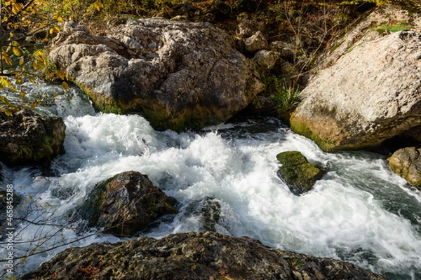 Obraz river in the forest