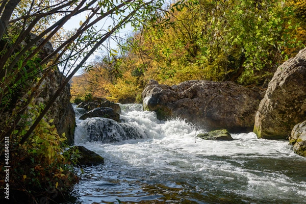 Obraz river in the forest