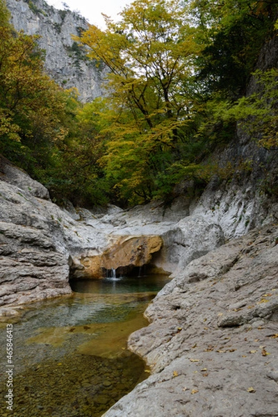 Obraz mountain river in the forest