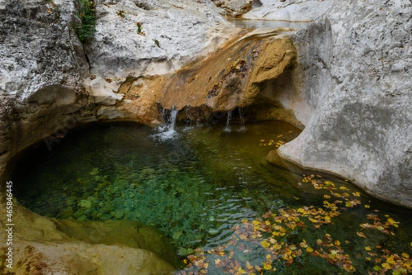 Obraz waterfall in the forest