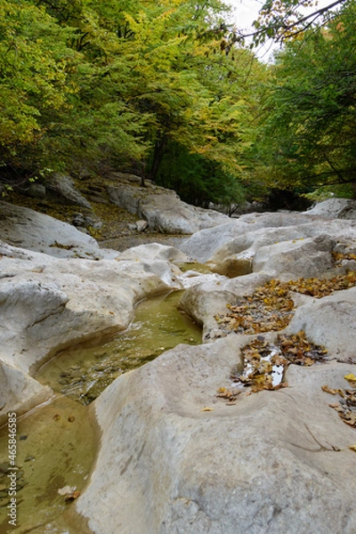 Obraz river in the mountains