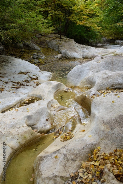 Obraz small river in the forest