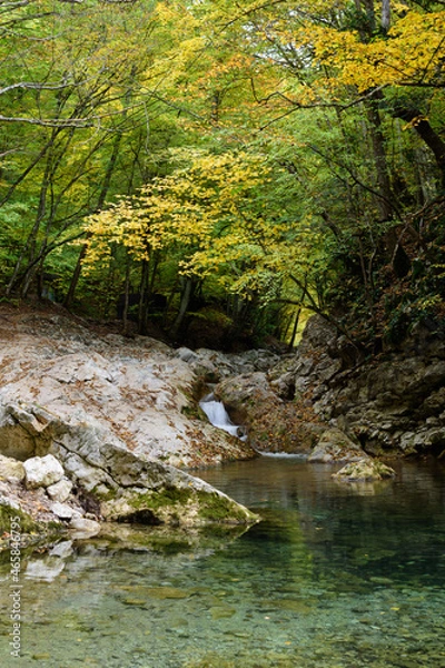 Obraz river in the forest