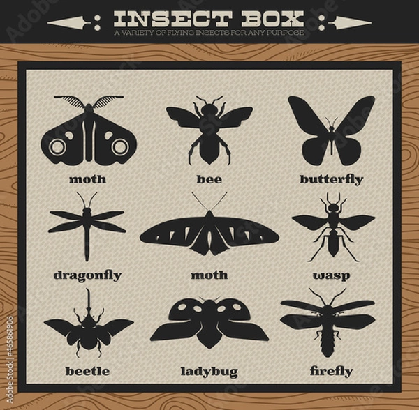 Obraz Geometric Insect Bug Vector Logos Icons - Shadow Box Included
