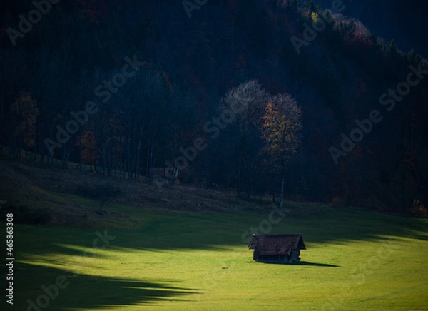 Fototapeta hut in the forest