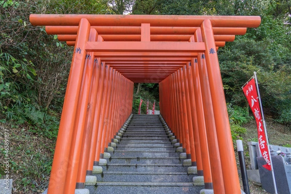 Fototapeta 俱利加羅不動寺