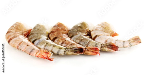 Obraz Prawns isolated on white