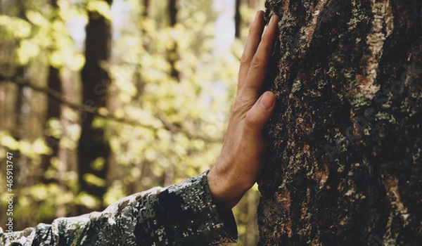 Fototapeta Hand touch the tree trunk. Man hand touches a pine tree trunk, close-up. Human hand touches a tree trunk. Bark wood. Wild forest travel. Ecology - a energy forest nature concept..