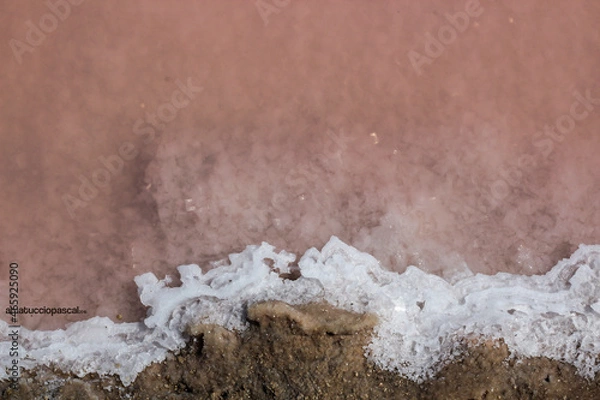 Fototapeta salt