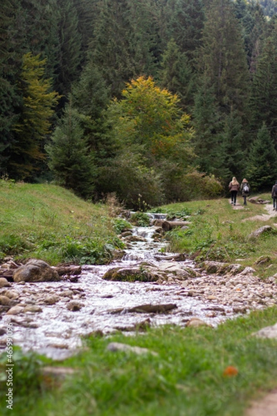 Obraz hiking in the mountains