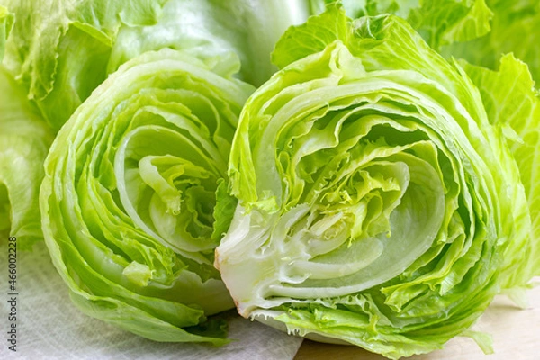 Fototapeta Fresh green iceberg lettuce salad leaves cut on light background on the table in the kitchen.