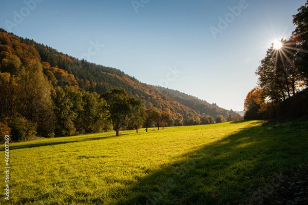 Fototapeta Herbstwiese