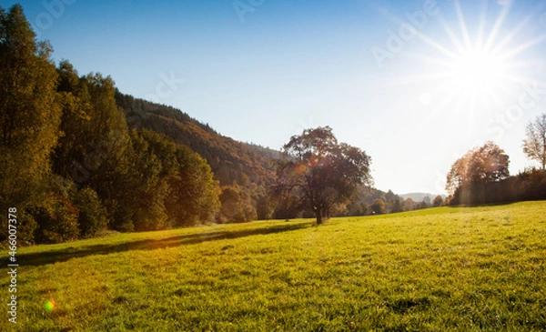 Fototapeta Herbstwiese
