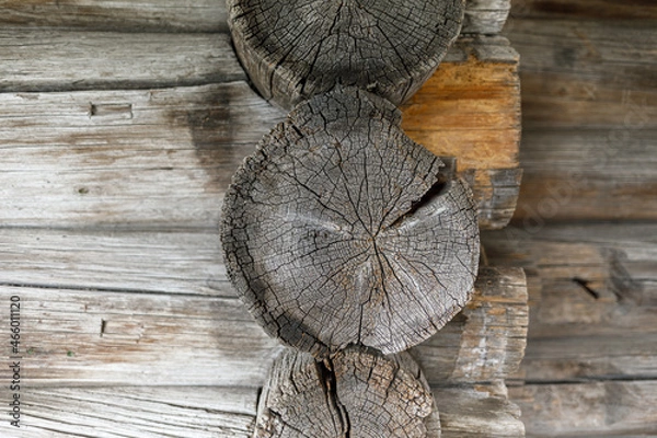 Obraz The texture of the tree. A fragment of an old log house. The end of the log in close-up