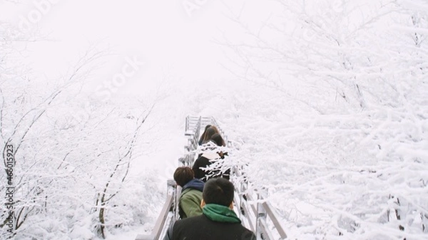 Fototapeta People walking in a line in the snowy forest of Jeju Island in winter.

