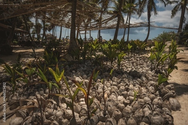 Obraz playa de cocos 