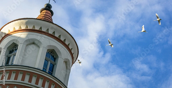 Fototapeta Swans against the background of the tower and the blue sky. Horizontal banner with space. Birds are flying in a row across the sky.