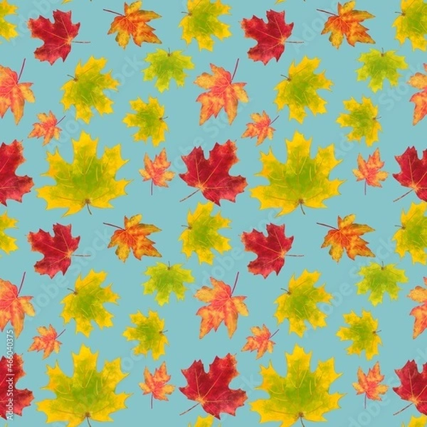Obraz autumn leaves seamless pattern