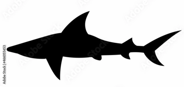 Fototapeta silhouette of a shark on a white background