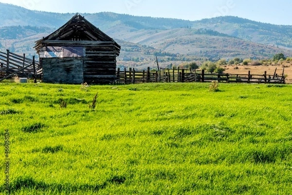 Fototapeta Pasture Loading Chute and Corral