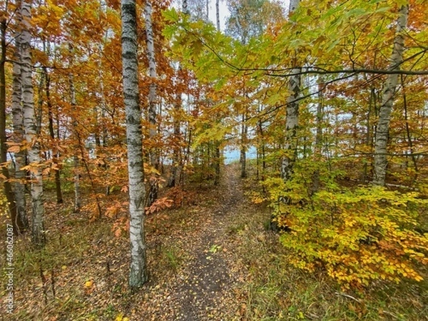 Fototapeta Brandenburg