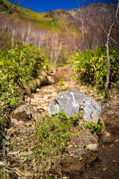 Fototapeta 霞沢岳、乗鞍岳、上高地、穂高岳などを見るために、長野県松本市の晩秋の雪が積もる焼岳を登山する風景 Scenery of climbing Mt. Yakedake with snow in late autumn in Matsumoto, Nagano Prefecture to see Mt. Kasumisawa, Mt. Norikura, Kamikochi and Mt. Hodaka