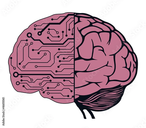 Obraz an human brain as a central processing unit