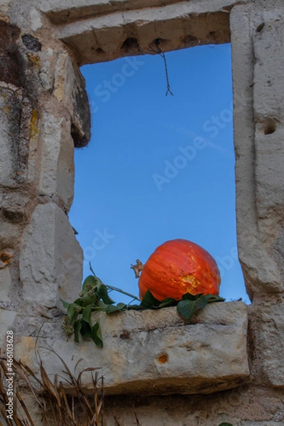 Fototapeta courge fenêtre