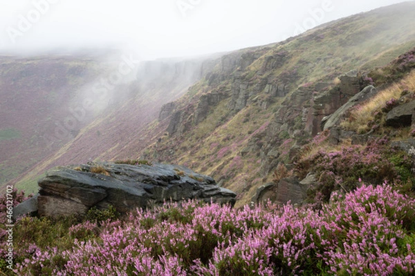 Obraz Heather in the mist