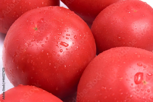 Fototapeta Red juicy close-up. White background. Water drops on wet tomatoes. Selective focus