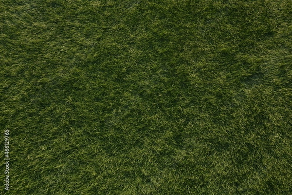 Fototapeta Field of fresh green grass texture as a background, top close up view, Soccer green grass as a banner background