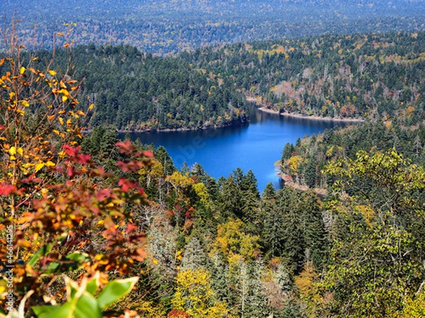 Obraz 阿寒の双湖台から見下ろした秋のペンケトー