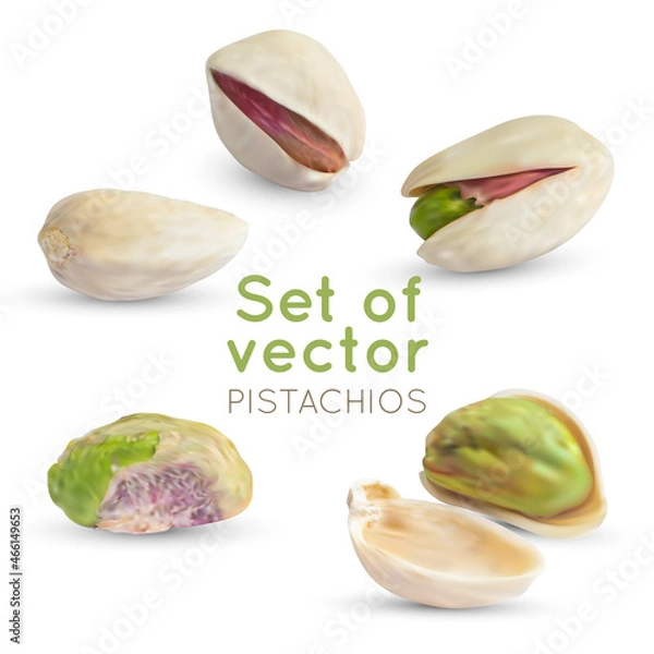 Fototapeta Vector Pistachio kernel. Realistic green raw nuts. Beige pistachios shell isolated on white background. Snack fruit illustration.