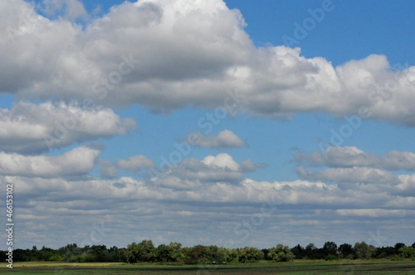 Obraz Clouds float across the sky over a green forest