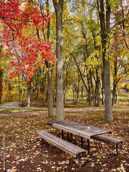 Fototapeta Autum Trees with an empty bench