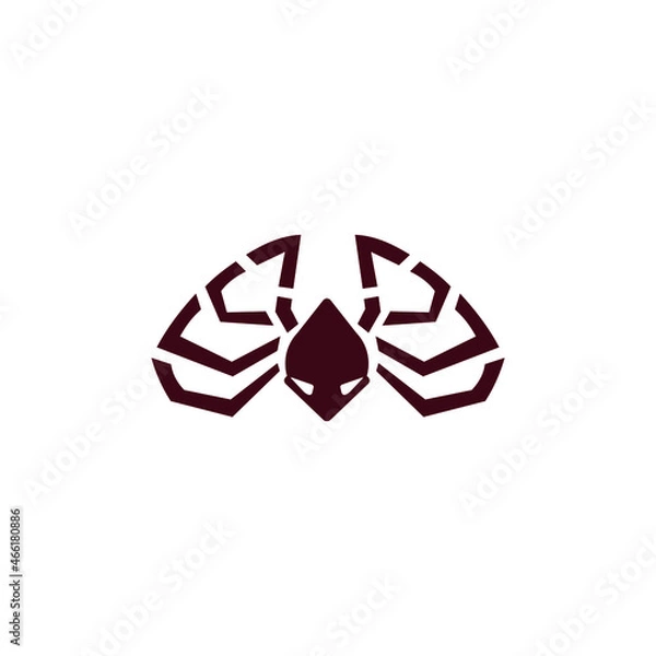 Obraz spider vector