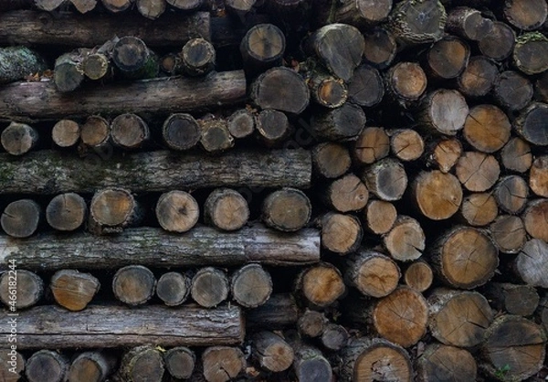Fototapeta 
A stack of sawn firewood stacked in different directions