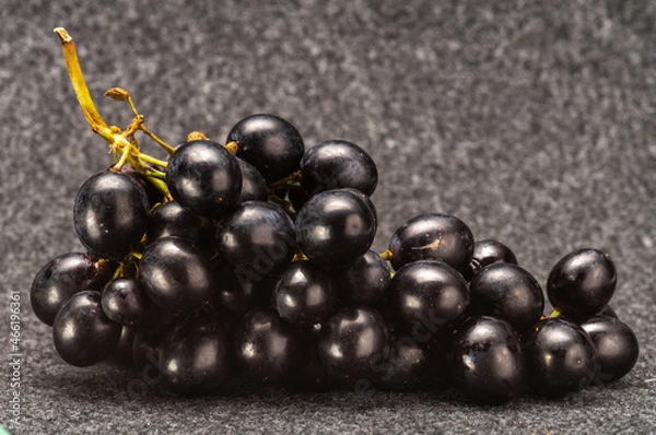 Obraz red grapes isolated on a fleecy backdrop