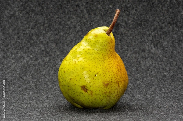 Obraz Pear Pakham   on a fleecy backdrop