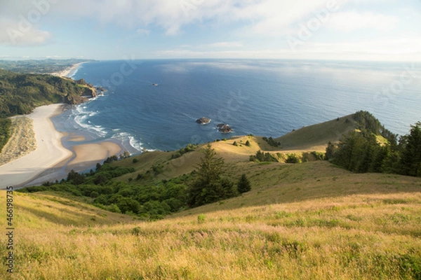 Obraz Cascade Head hike